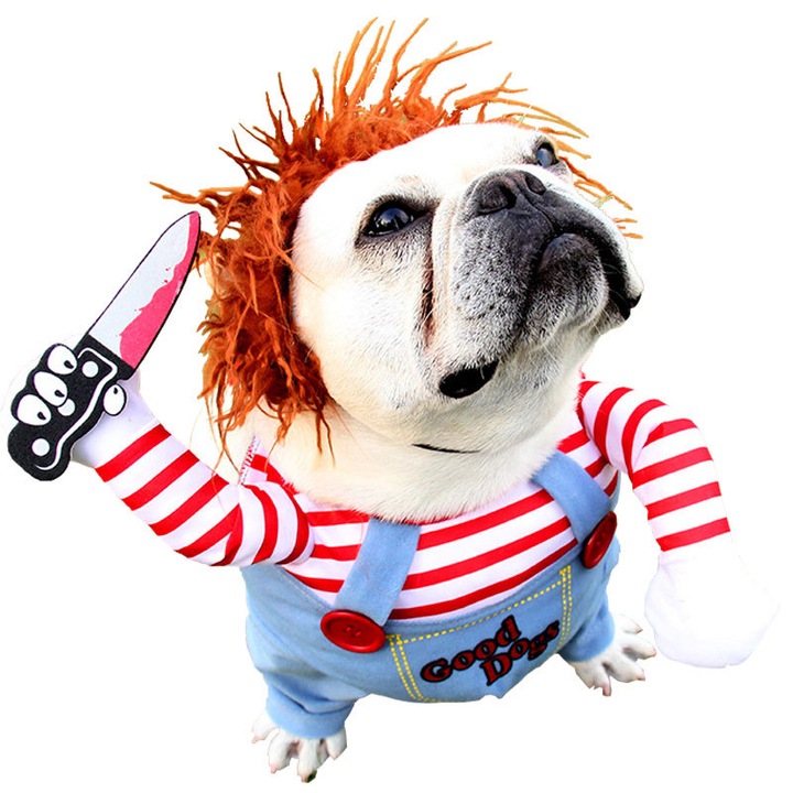 Costum animale mici, albastru mix, XL