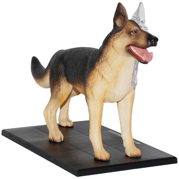 Jucarie educativa, figurina anatomica Mappy 4D Vision Animal - Catel, 29 piese detasabile