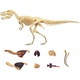 Jucarie educativa, figurina anatomica Mappy 4D Vision Animal - Dinozaur T-Rex, 36 piese detasabile