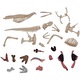 Jucarie educativa, figurina anatomica Mappy 4D Vision Animal - Dinozaur T-Rex, 36 piese detasabile