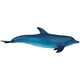 Jucarie educativa, figurina anatomica Mappy 4D Vision Animal - Delfin, 18 piese detasabile