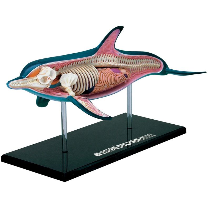 Jucarie educativa, figurina anatomica Mappy 4D Vision Animal - Delfin, 18 piese detasabile