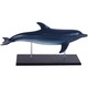 Jucarie educativa, figurina anatomica Mappy 4D Vision Animal - Delfin, 18 piese detasabile