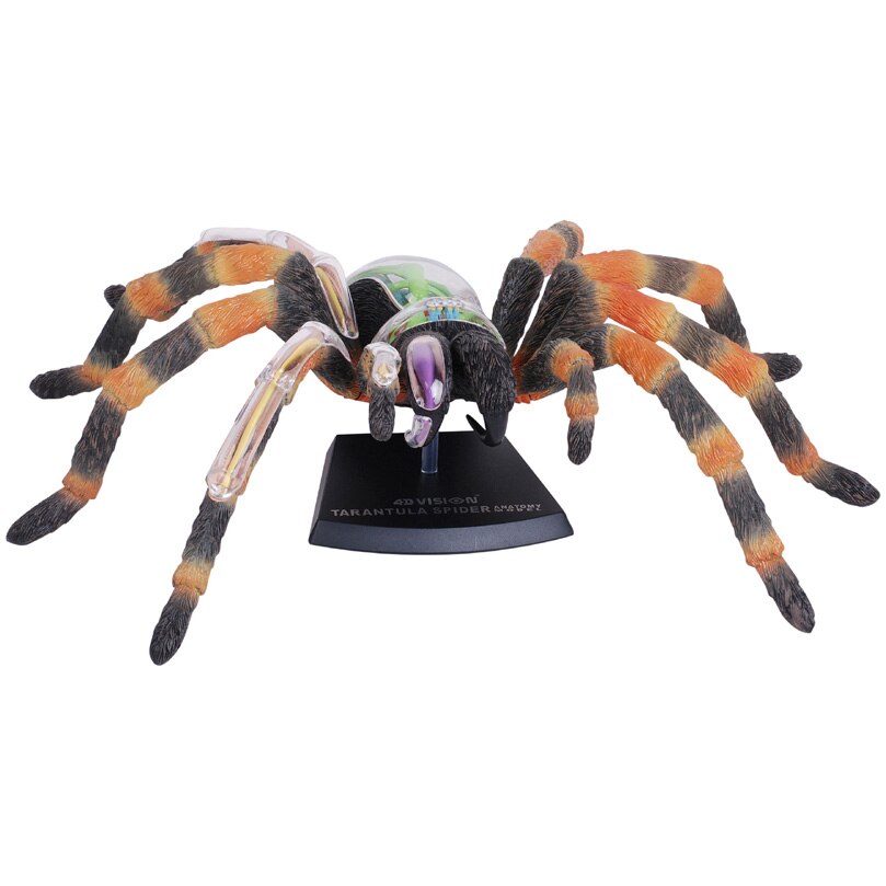 Jucarie educativa, figurina anatomica Mappy 4D Vision Animal - Tarantula, 33 piese detasabile