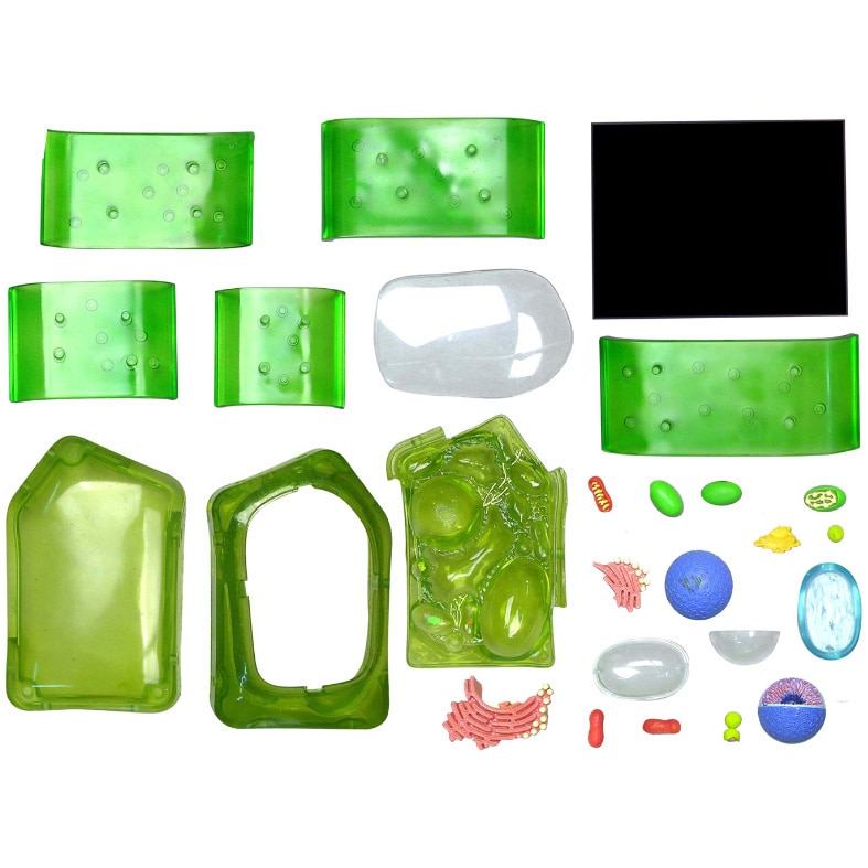 Jucarie educativa, figurina anatomica Mappy 4D Vision Science