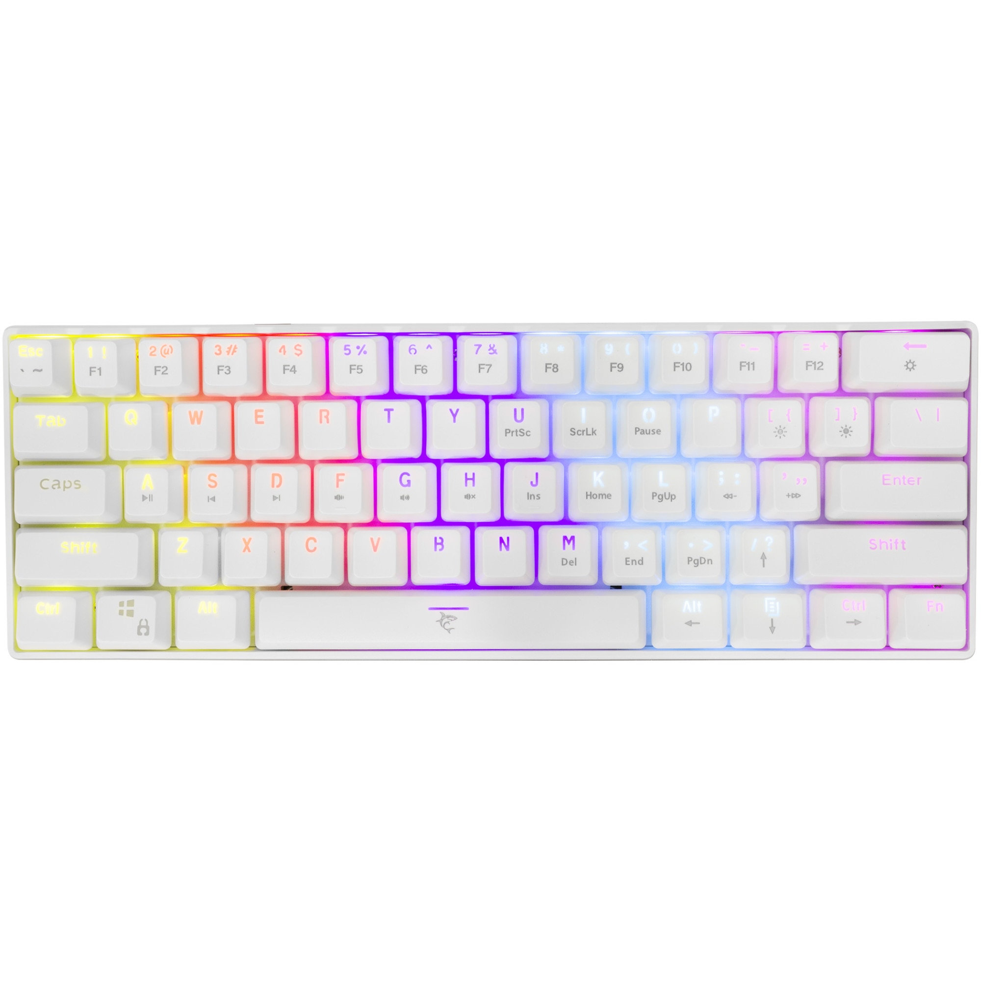 WHITE SHARK SBX00217