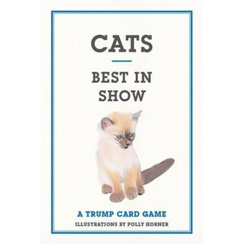 Cats Cats
