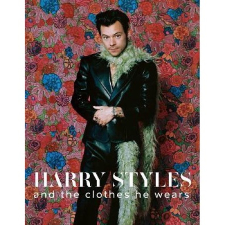 Harry Styles: And The Clothes He Wears - Terry Newman