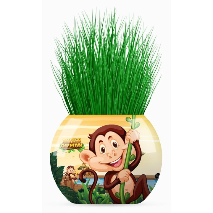 Cupa cu iarba cu ilustratie, jungla-maimu, YUUP