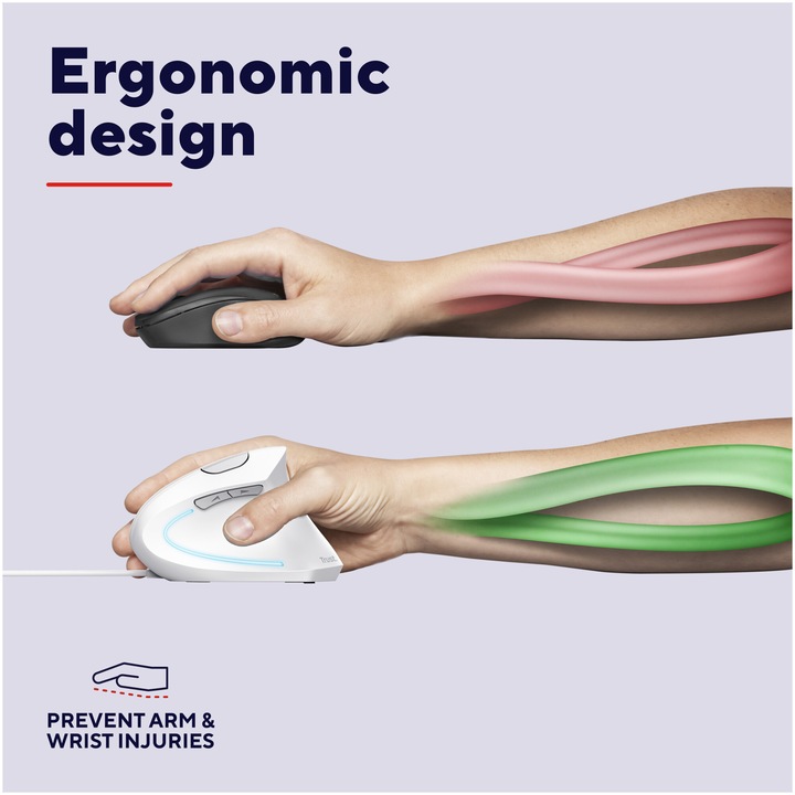 Mouse cu fir Ergonomic Trust VERTO, 1000-1600 DPI, cablu 1.5 m Alb