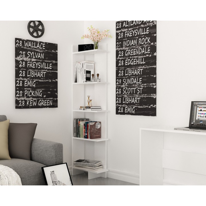 Biblioteca Model Als, Alb