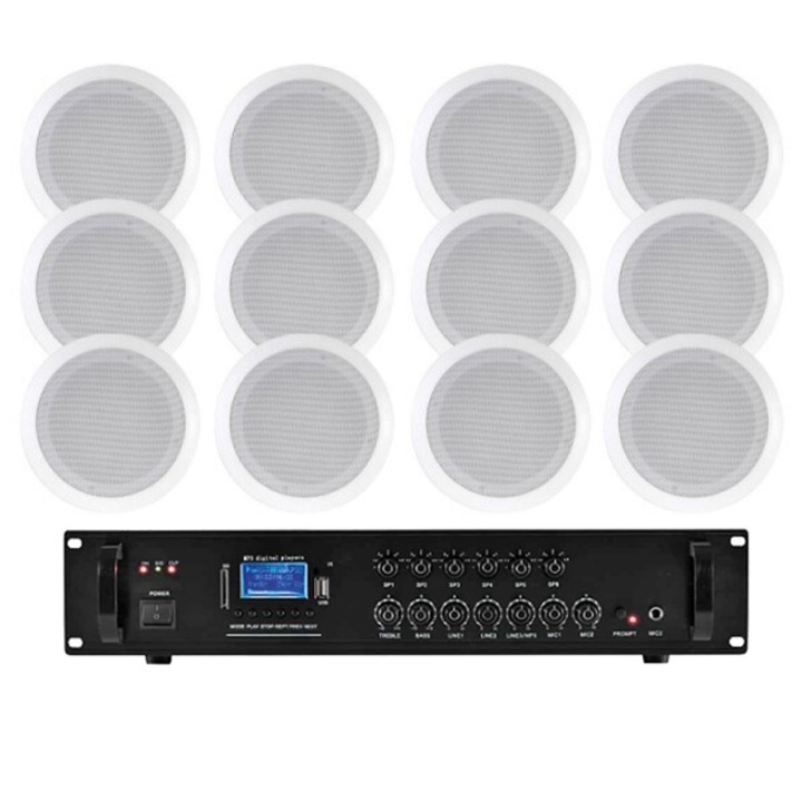 Sistem 12 Boxe Plafon cu Statie 100V CS-130H