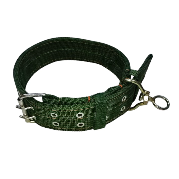 Curea caine textil cu vartej 5x70 cm verde CH