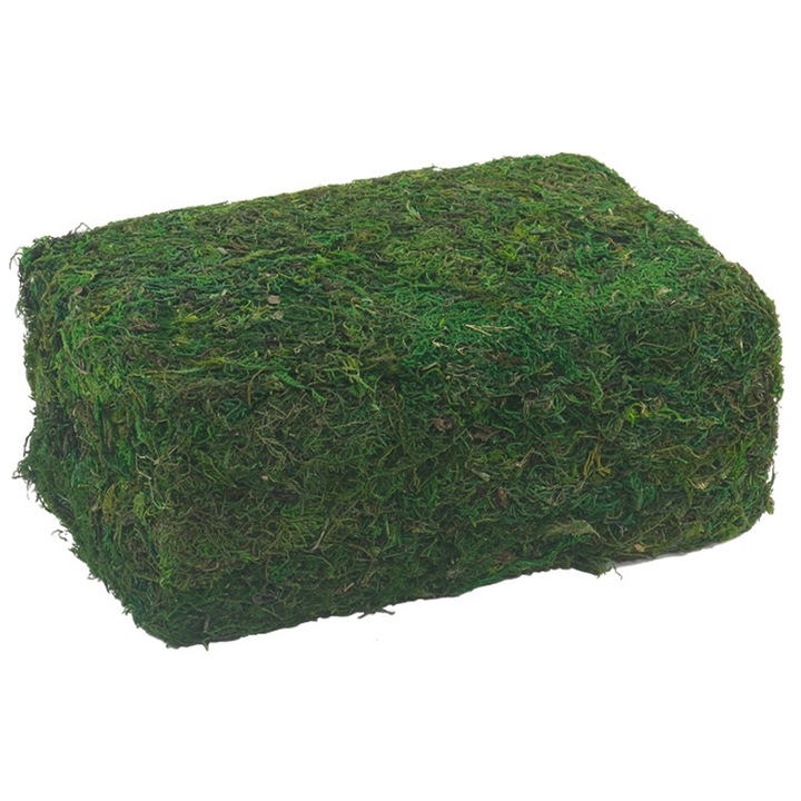 Muschi, Zggzerg, 300g, Artificial, Rezistenta la culoare si usor de intretinut, Poate fi utilizat pentru plante in ghiveci, Pentru nunta petrecere, gradina de interior, acasa decorare, 27cm x 28cm x 13cm, Verde