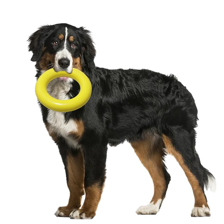 QttvbTna Фризби за домашни любимци, гумено, жълто