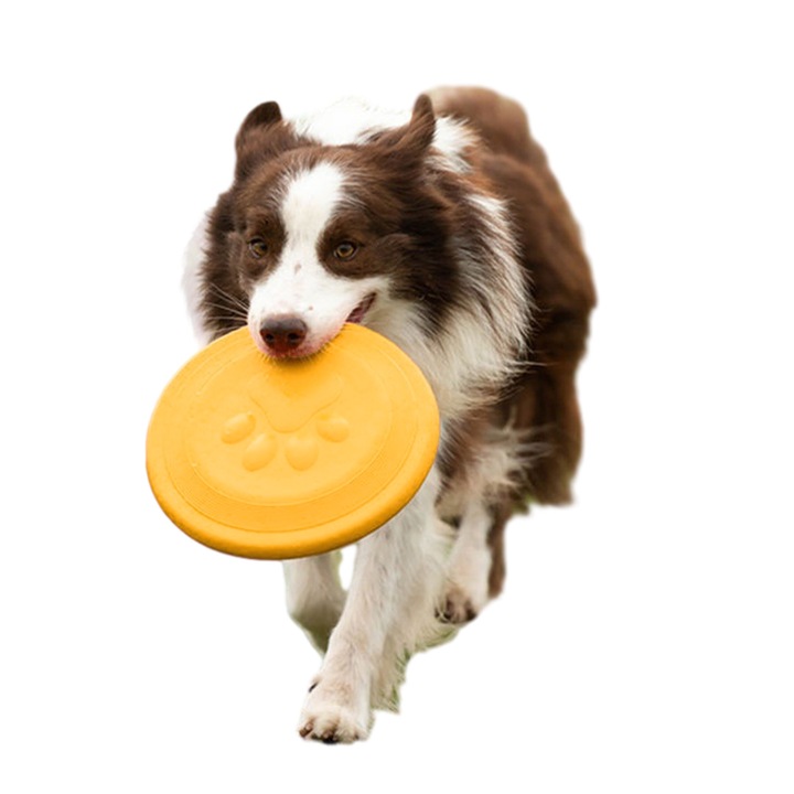 Disc zburator pentru caini, AMRINUGL, galbena