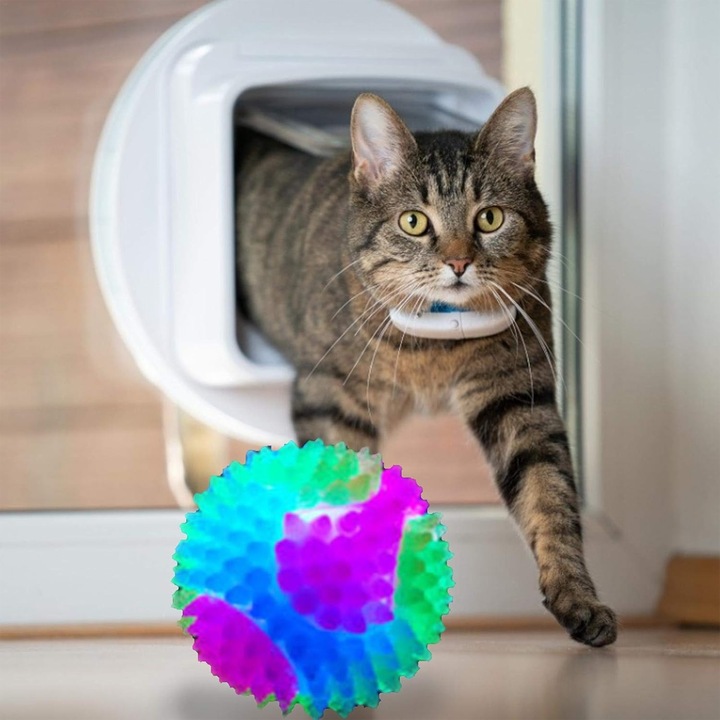 Комплект от 4 топки за животни, гумени, многоцветни, 5,5 см