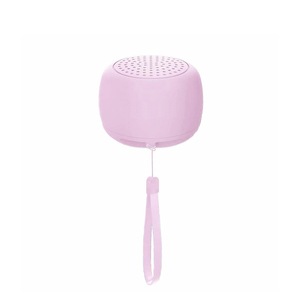 Hordozható hangszórók