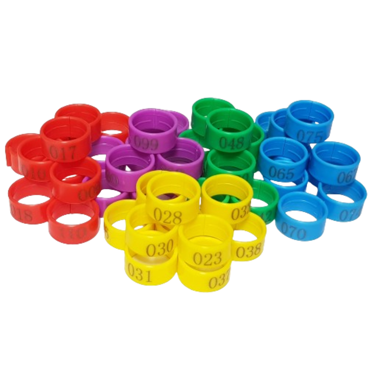 Rugalmas gyűrűk, számozott, csirkéknek, kacsáknak, libáknak, 50 db, Multicolor, 20mm