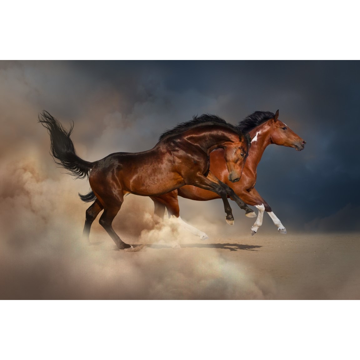 Bandiera Napoli Scudetto - Maxi 250x200 Cm, Bianco E Azzurro Con Logo - Foto 6