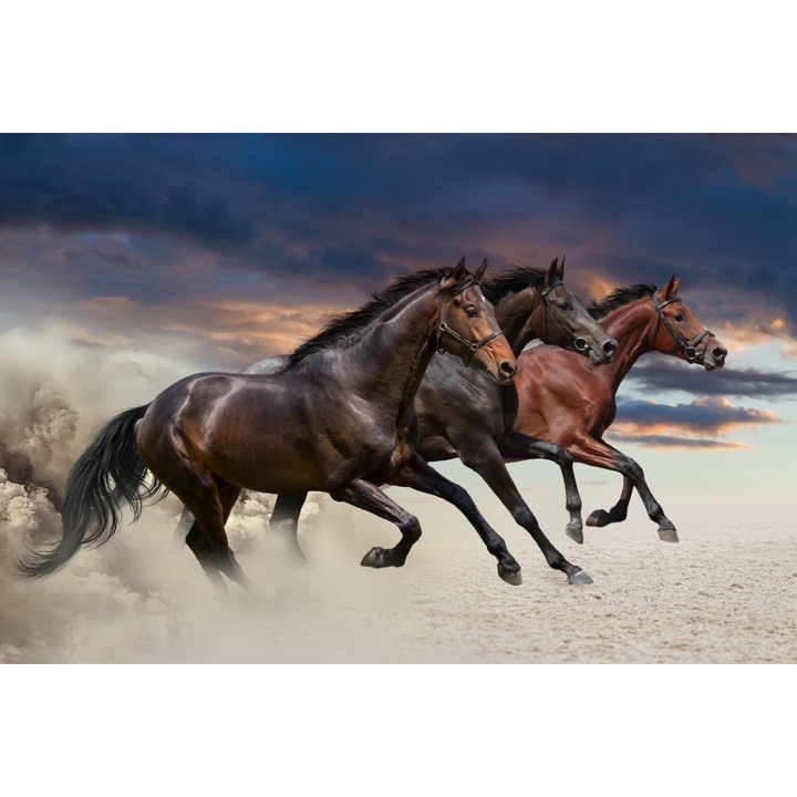 Fototapet autocolant Trei cai, galop, 220 x 135 cm