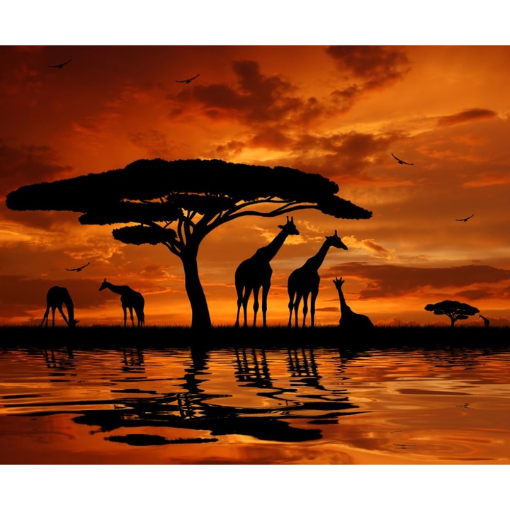 Fototapet autocolant Girafe, apus de soare2, 400 x 250 cm