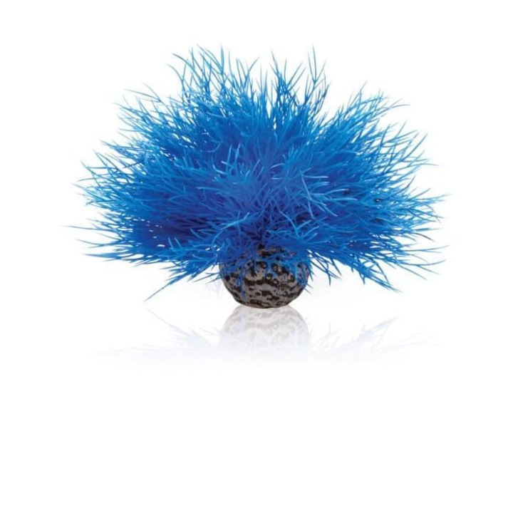 Mesterséges akvárium dekor, Oase biOrb Aquatic tengeri liliom, 12 cm, kék