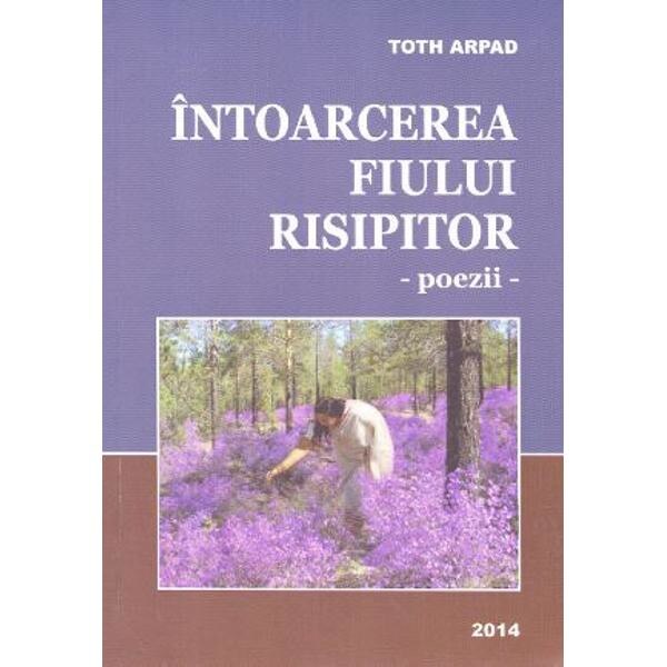 Intoarcerea fiului risipitor - Toth Arpad