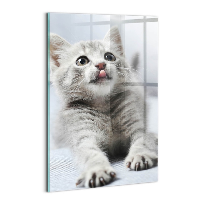 Tablou Sticla, Wallfluent, Pisicuta adorabila pe canapea, Gri, 20x30 cm, 010010010120100075336