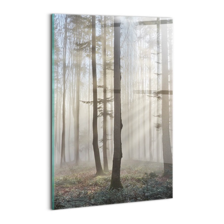 Tablou Sticla, Wallfluent, Padure in ceata, Gri, 20x30 cm, 010010010120100075110