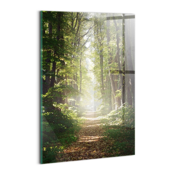 Tablou Sticla, Wallfluent, Drum forestier printre copaci, Verde, 20x30 cm, 010010010120100277303