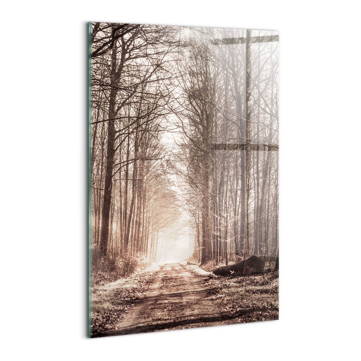 Tablou Sticla, Wallfluent, Calea padurii in culori sepia, Maro, 40x60 cm, 010010010160100074855