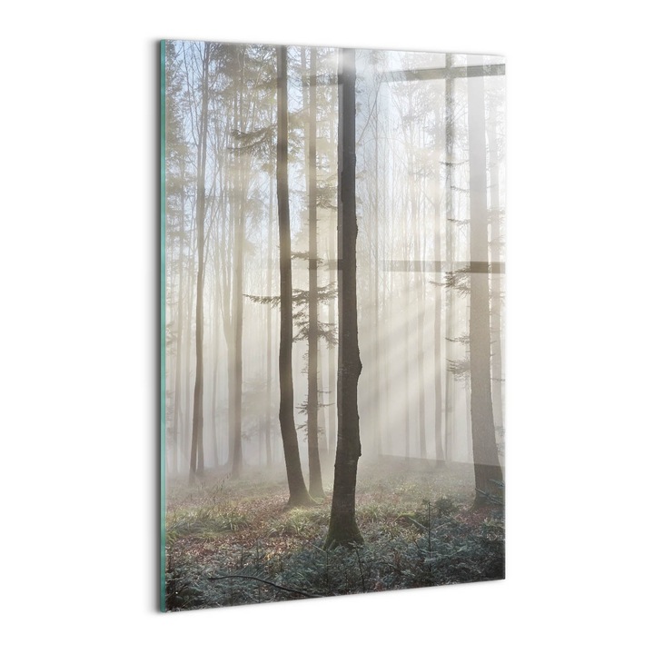 Tablou Sticla, Wallfluent, Padure in ceata, Gri, 40x60 cm, 010010010160100075110