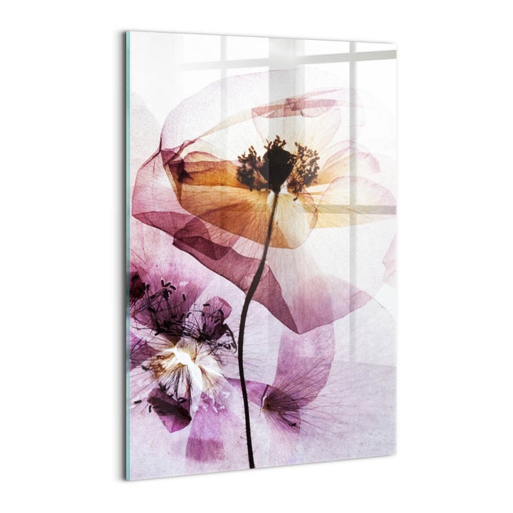 Tablou Sticla, Wallfluent, Flori uscate de mac, Roz, 40x60 cm, 010010010160100075178