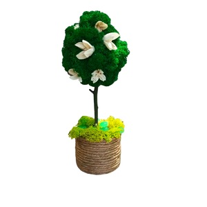 Accesorii decorative