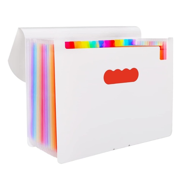 Set de organizare documente, multicolor, 33x23.5x65cm