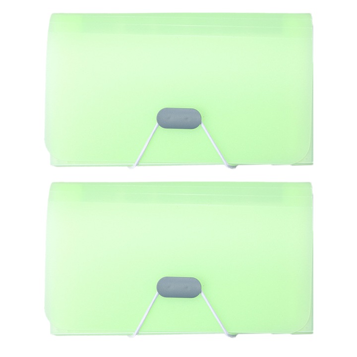 Set 2 mape extensibile, multicolor, 118x178mm, cu 13 compartimente