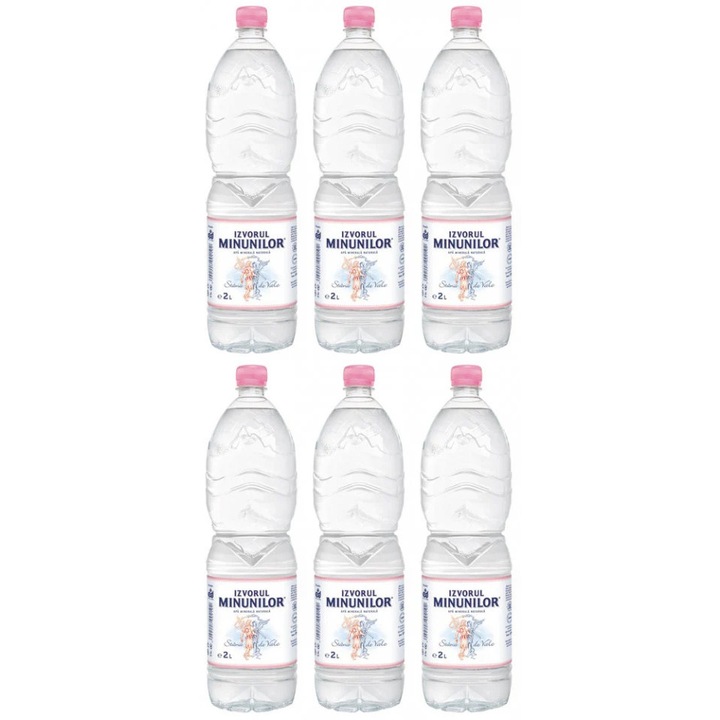 Apa Plata, 6 x 2 L, Izvorul Minunilor