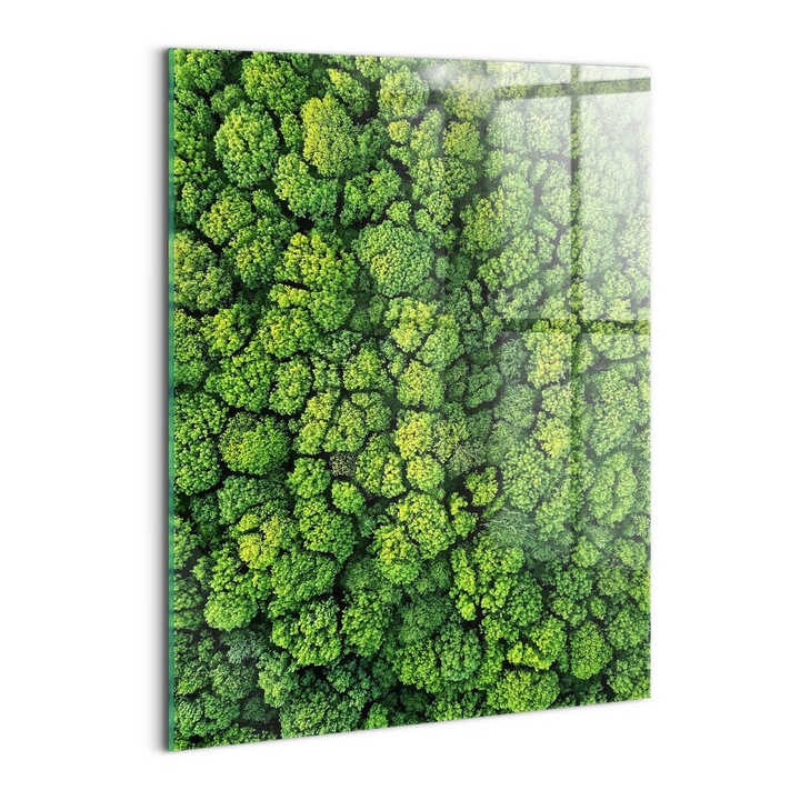 Tablou Sticla, Wallfluent, Padure din vedere de ochi de pasare, Verde, 60x80 cm, 010010010230100088658