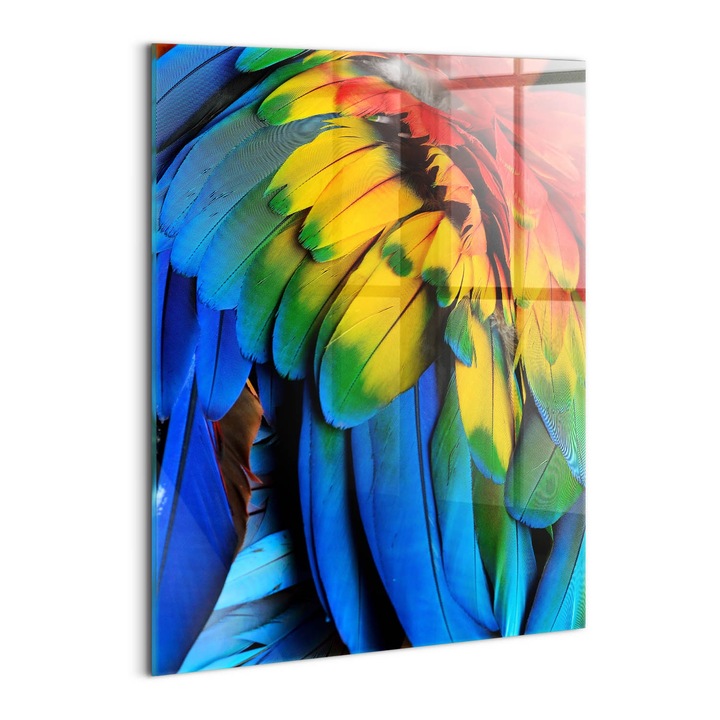Tablou Sticla, Wallfluent, Aripi colorate ale unui papagal macaw, Multicolor, 60x80 cm, 010010010230100075100