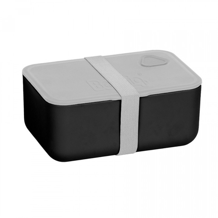 Cutie alimentara PASO BUGB-3033, polipropilen, etansa, 17x12x7,5cm