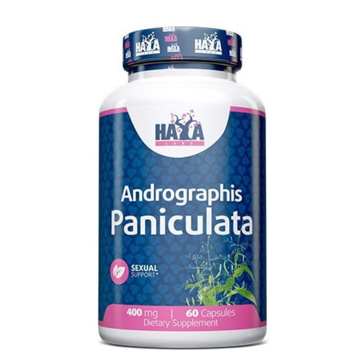 Haya Labs - Andrographis Paniculata 400mg / 60 Caps