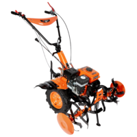 Motosapa pe benzina Evotools T700, putere 7 CP, 212 CC, motor 4 timpi, 2+1 viteze, latime lucru 55 - 85 cm, adancime lucru 10 - 34 cm, contine: freze 24 lame + 2 roti cauciuc