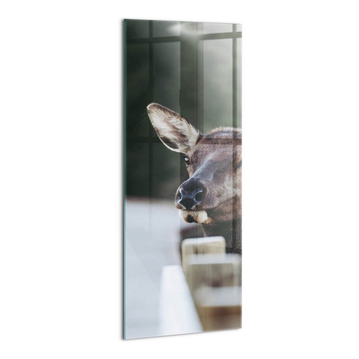 Tablou Sticla, Wallfluent, Cap de caprioara, Gri, 50x125 cm, 010010010180100075684