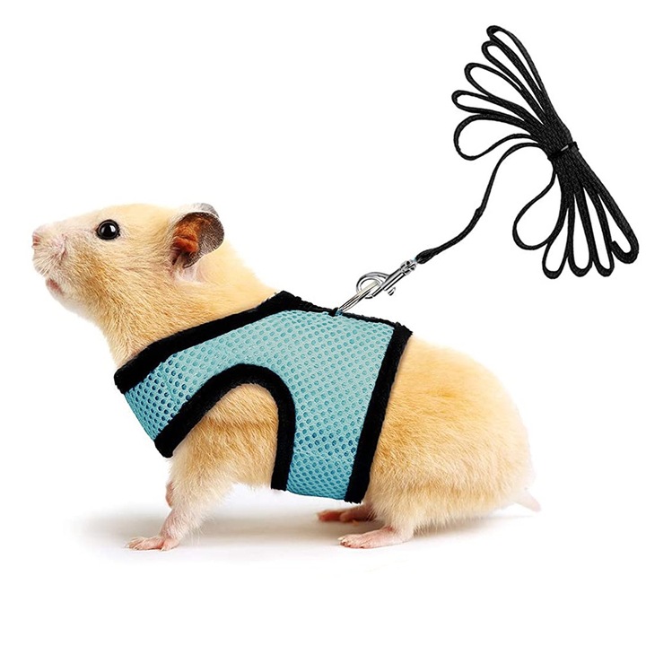 Ham pentru animale mici, respirabil, cu lesa, negru/albastru, S