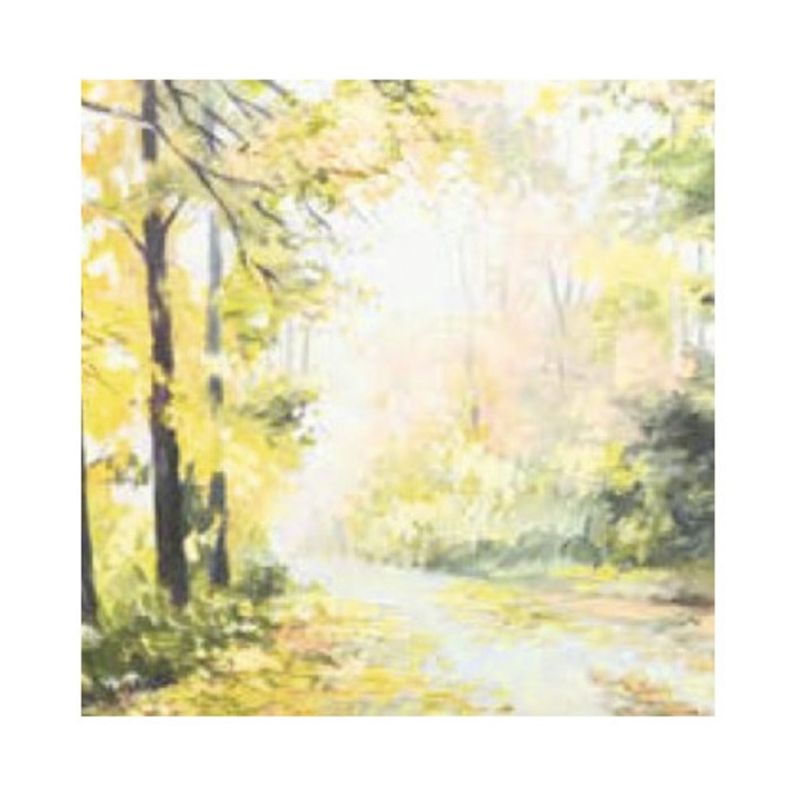 Tablou Canvas Autumn Forest 40x40 Cm