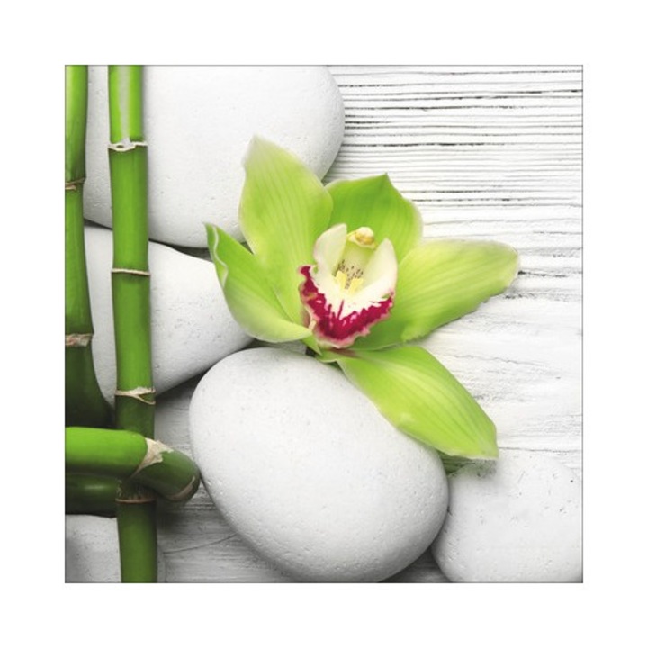 Tablou Sticla Flowers Stones Bamboos Ii 30x30 Cm