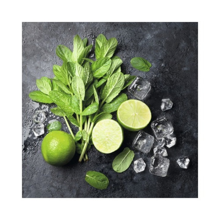 Tablou Sticla Lime & Ice Cube 20x20 Cm