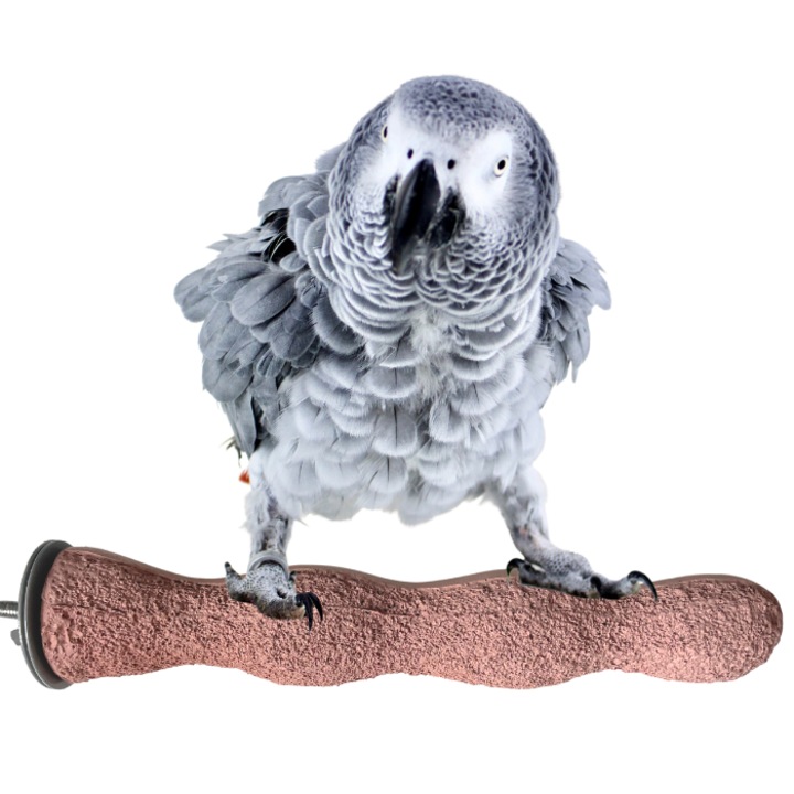 Терапевтична пръчка Hagen Hari "Mani Pedi", за среден размер папагали, M/L