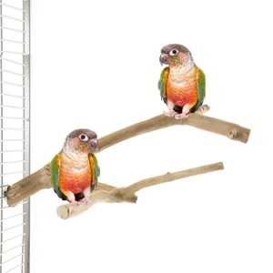 Custi, cotete, tarcuri si colivii